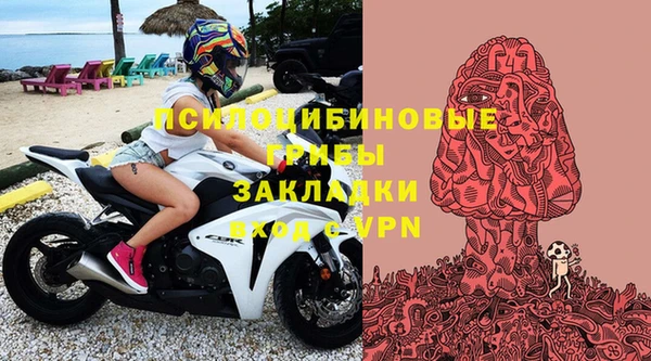 ALPHA PVP Гусев