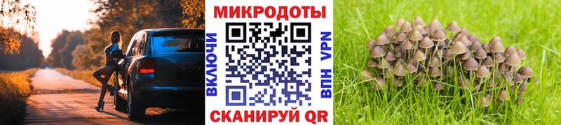 Галлюциногенные грибы Psilocybe  Купить  Зея 